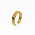 ANILLO-VALMAR.jpg