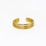 ANILLO-VALMAR-horiz.jpg