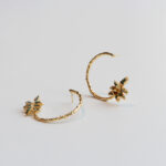 Aretes-Prosperidad-2.jpg